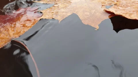 Falling drops in the close-up in a barrel slow motion. Stock Footage 107568900