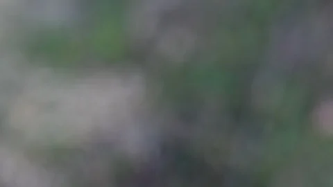 Falling drops Stock Footage 126347922