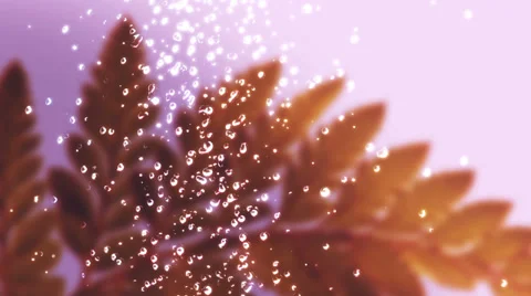 Falling Drops of Water Stock Footage 39931720