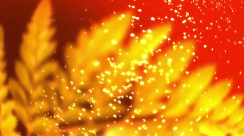 Falling Drops of Water on the Red Background Stock Footage 39946298
