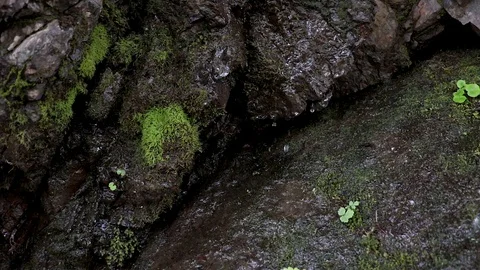 Falling drops of water in the rock. Stock Footage 116308835