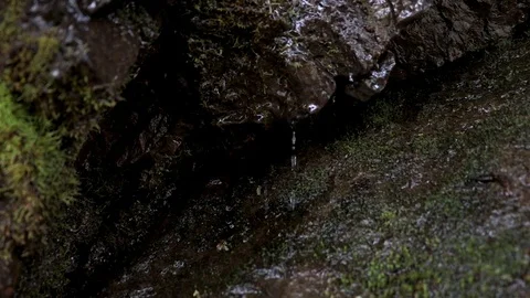 Falling drops of water in the rock. Stock Footage 116308847