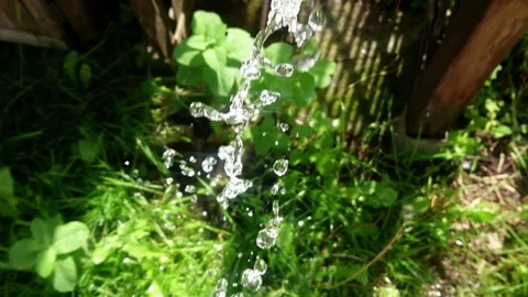 Falling drops of water slow motion Stock Footage 108636098