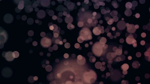 Falling Dust Bokeh Particles Stock Footage 237298547