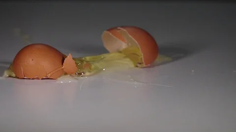 Falling egg Stock Footage 87008573