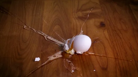 Falling Egg Slow Motion Vídeo Stock 119379441