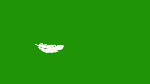 Falling feather Animation isolated green Background Stock Footage 296911889
