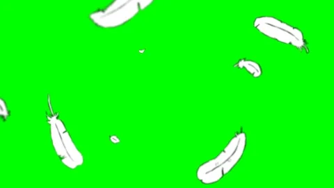Falling feather in green chromakey screen Stock Footage 172067216