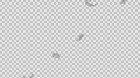 Falling feather in slow motion alpha Video stock 61397603