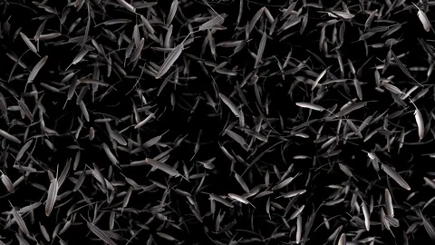 Falling feathers with alpha channel Stock-Footage 91378561