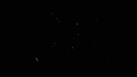 Falling Feathers Dust Stock-Footage 95196084