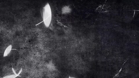 Falling Feathers on Grunge Dark Wall Texture Background Stock Footage 286364945