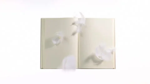 Falling Feathers on an Open Book Vídeo Stock 332508964