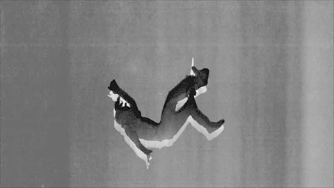 Falling figure in grey ink, seamless loop Stock Footage 346767433