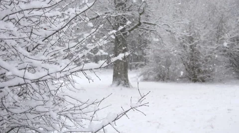 Falling of first snow in winter park Stock Footage 58840581