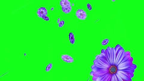 Falling Flower Paper Cut Outs on Green Screen Stock Footage 154716314