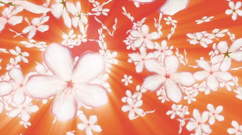 Falling Flowers Stock-Footage 32501215