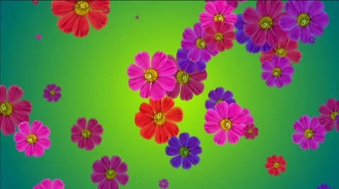 Falling flowers 動画素材 44370957