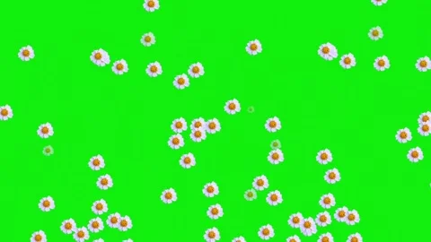 Falling flowers Stock Footage 226197713