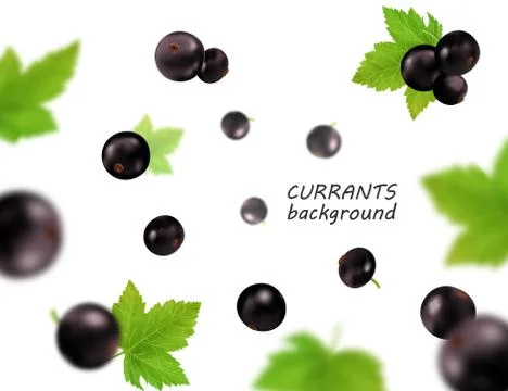Falling (flying) black currant isolated on transparent background. Vector rea Stock Illustration