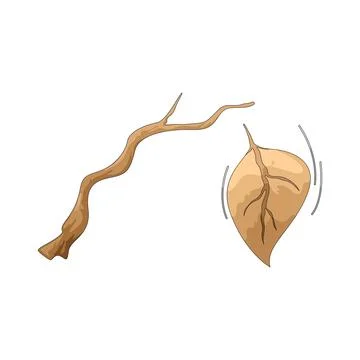 Falling foliage illustration Stock Illustration