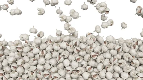 Falling food garlic on white background. 스톡 동영상 284874340