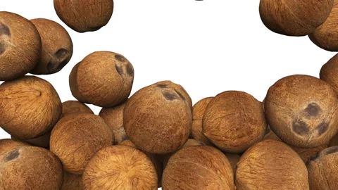 Falling food whole brown coconuts on white background. Vídeo Stock 284871095