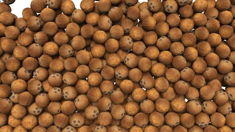 Falling food whole brown coconuts on white background. 스톡 동영상 284871182