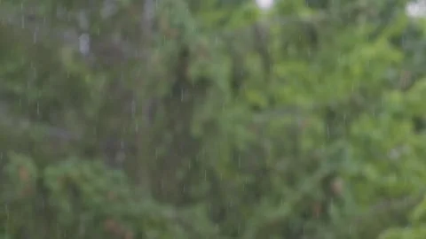 Falling 動画素材 248601144