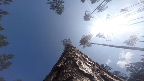 Falling frame on earth 60 frames per second Stock Footage 97591800