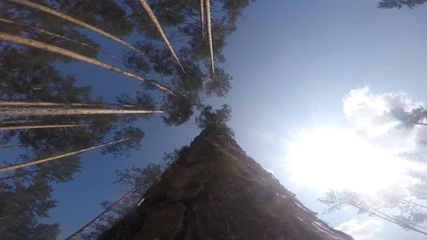 Falling frame on earth 60 frames per second Stock Footage 97598535