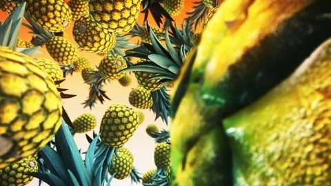 Falling fresh ananas on green background Stock Footage 74668242