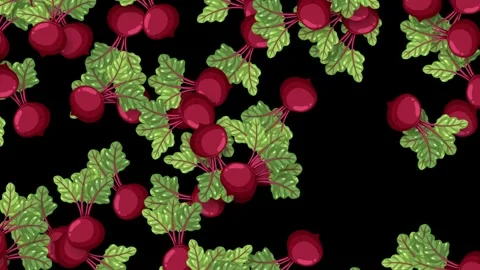 Falling Fresh Beetroot Vegetables with Green Leaves on Black Background Stock Footage 340381872