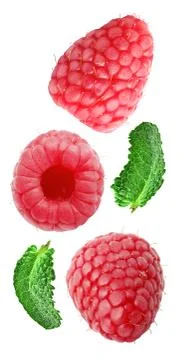 Falling fresh berries with mint isolated on white Stock Photos