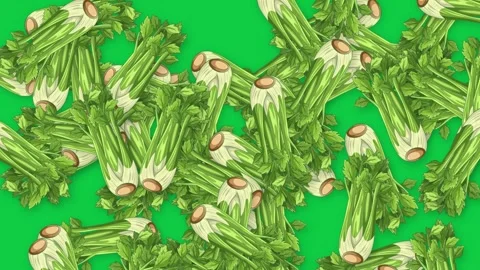 Falling Fresh Celery Stalks Animation on Solid Green Background Stock Footage 340013174