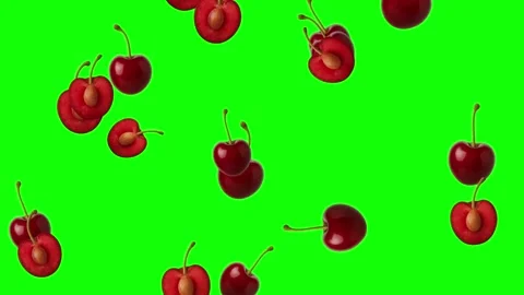 Falling fresh cherry fruits motion graphics with green screen background Stock Footage 336965283
