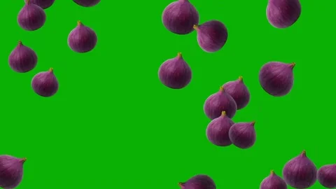 Falling fresh fig fruits motion graphics with green screen background Stock Footage 325786450