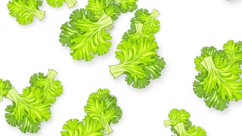 Falling Fresh Green Lettuce Leaves Animation on Bright Green Background Stock Footage 342304876