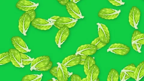 Falling Fresh Green Mint Leaves Animation on Solid Green Background Stock Footage 342218606