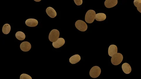 Falling fresh kiwi loop isolated with an alpha channel Stock Footage 255653725