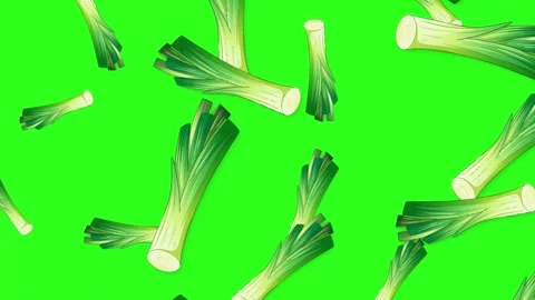 Falling Fresh Leek Vegetables Animation on Green Screen Background Stock Footage 342488311