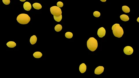 Falling fresh lemons loop isolated with an alpha channel Stock Footage 255653731