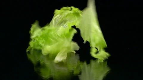 Falling Fresh Lettuce 스톡 동영상 61499676