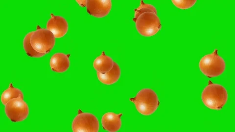Falling fresh Onions motion graphics with green screen background Video stock 329986438
