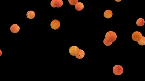 Falling fresh peaches isolated with an alpha channel Stock Footage 255654194