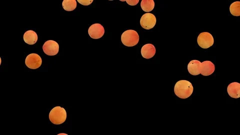 Falling fresh peaches loop isolated with an alpha channel Stock Footage 255654192