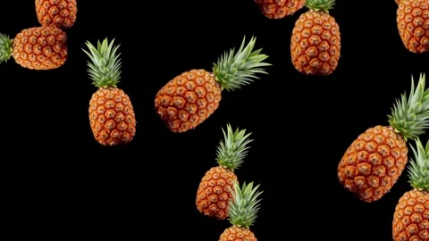 Falling fresh Pineapples motion graphics with plain black background Stock Footage 303745207
