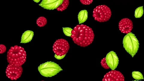 Falling Fresh Raspberries and Green Mint Leaves on Black Background Stock Footage 344714521
