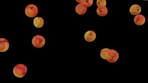 Falling fresh red apples isolated with an alpha channel .mp4 Stock Footage 255654270