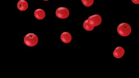 Falling fresh red tomatos isolated with an alpha channel Stock Footage 255654569